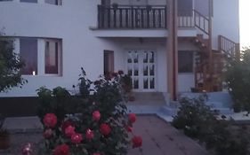 Casa Doina Guest House