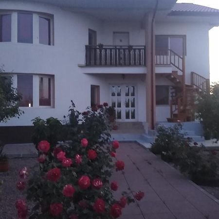 Casa Doina Hotel Douăzeci şi Trei August Exterior foto
