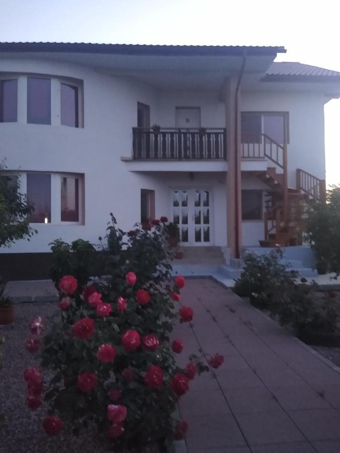 Casa Doina Hotel Douăzeci şi Trei August Exterior foto