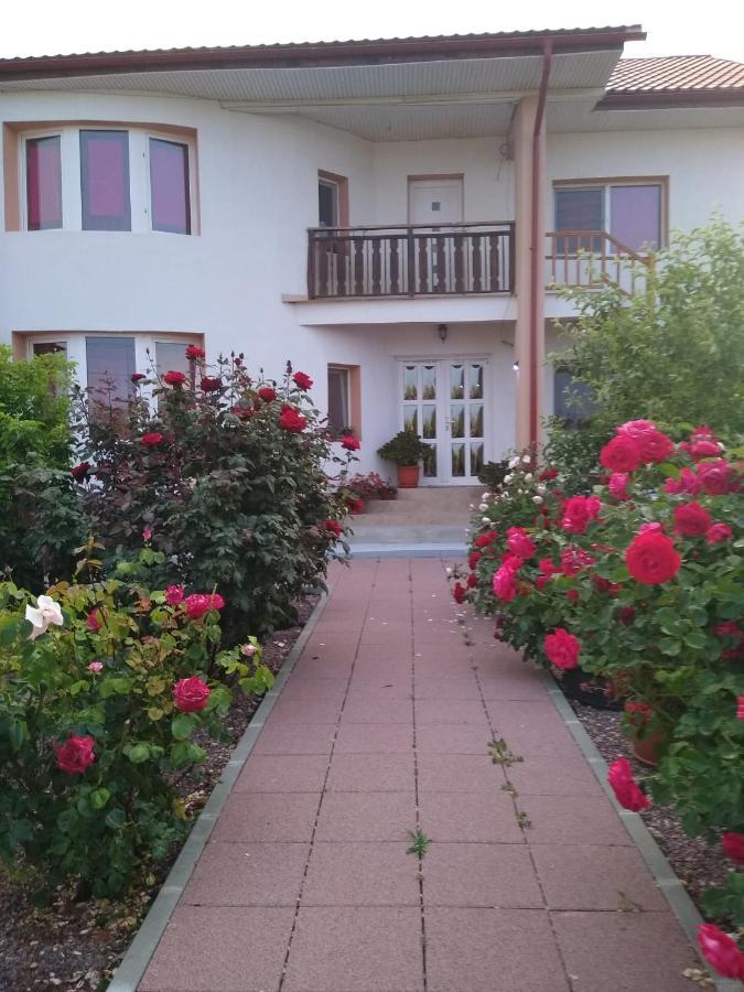 Casa Doina Hotel Douăzeci şi Trei August Exterior foto