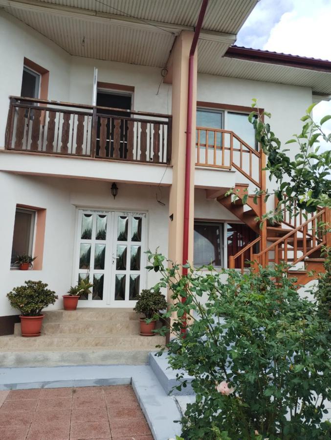Casa Doina Hotel Douăzeci şi Trei August Exterior foto