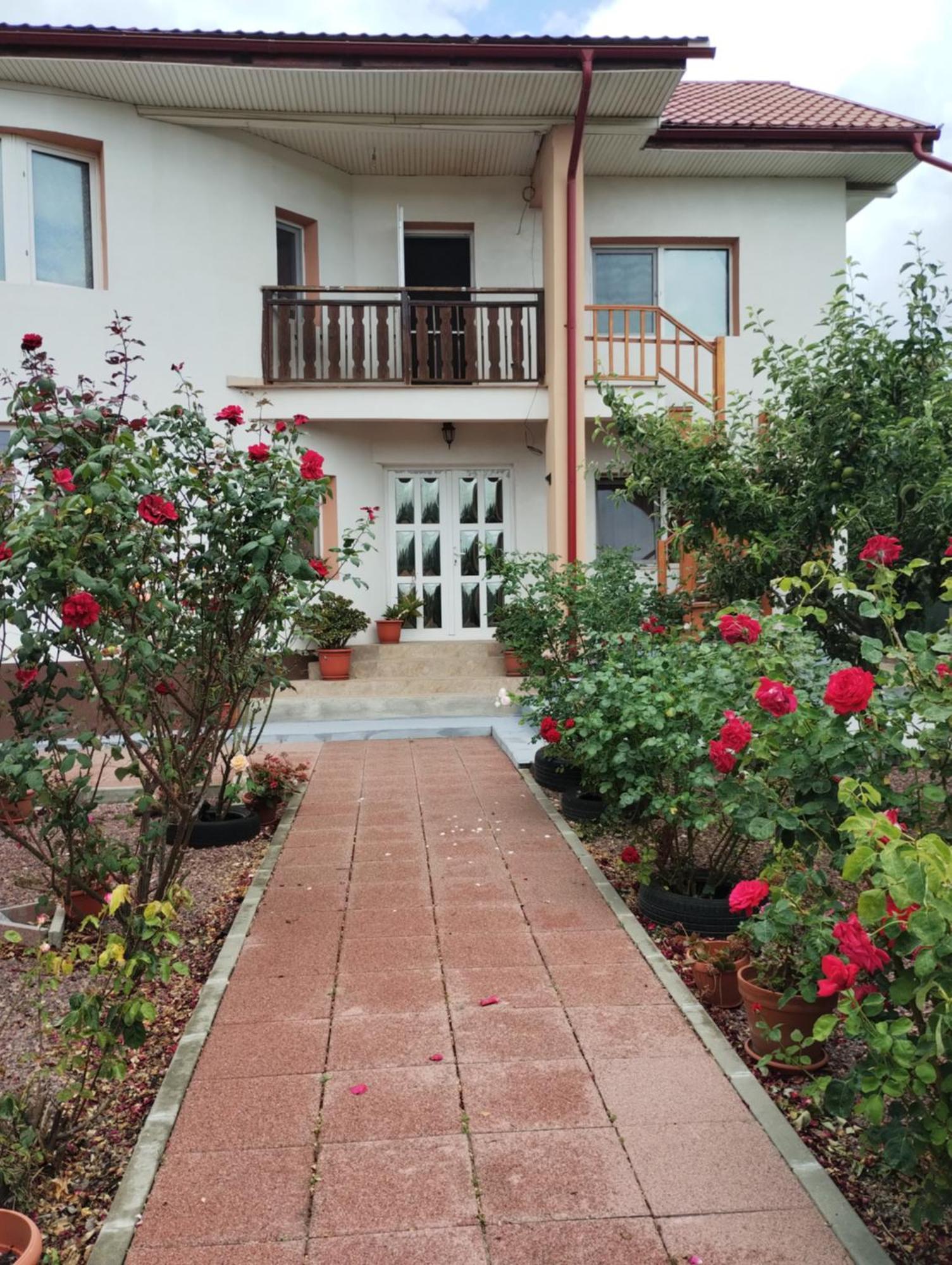 Casa Doina Hotel Douăzeci şi Trei August Exterior foto